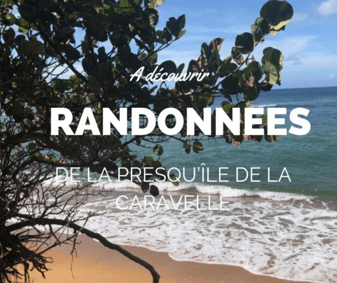 Ananas Premium - Sejour Detente T2 Vue Mer Avec Balcon Prive A Tartane La Trinité Exteriér fotografie